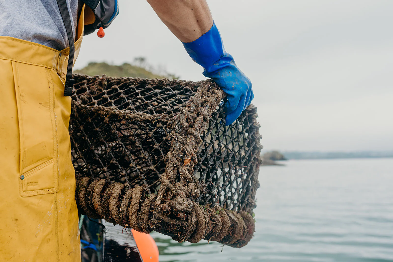 Freshness Straight From the Boat