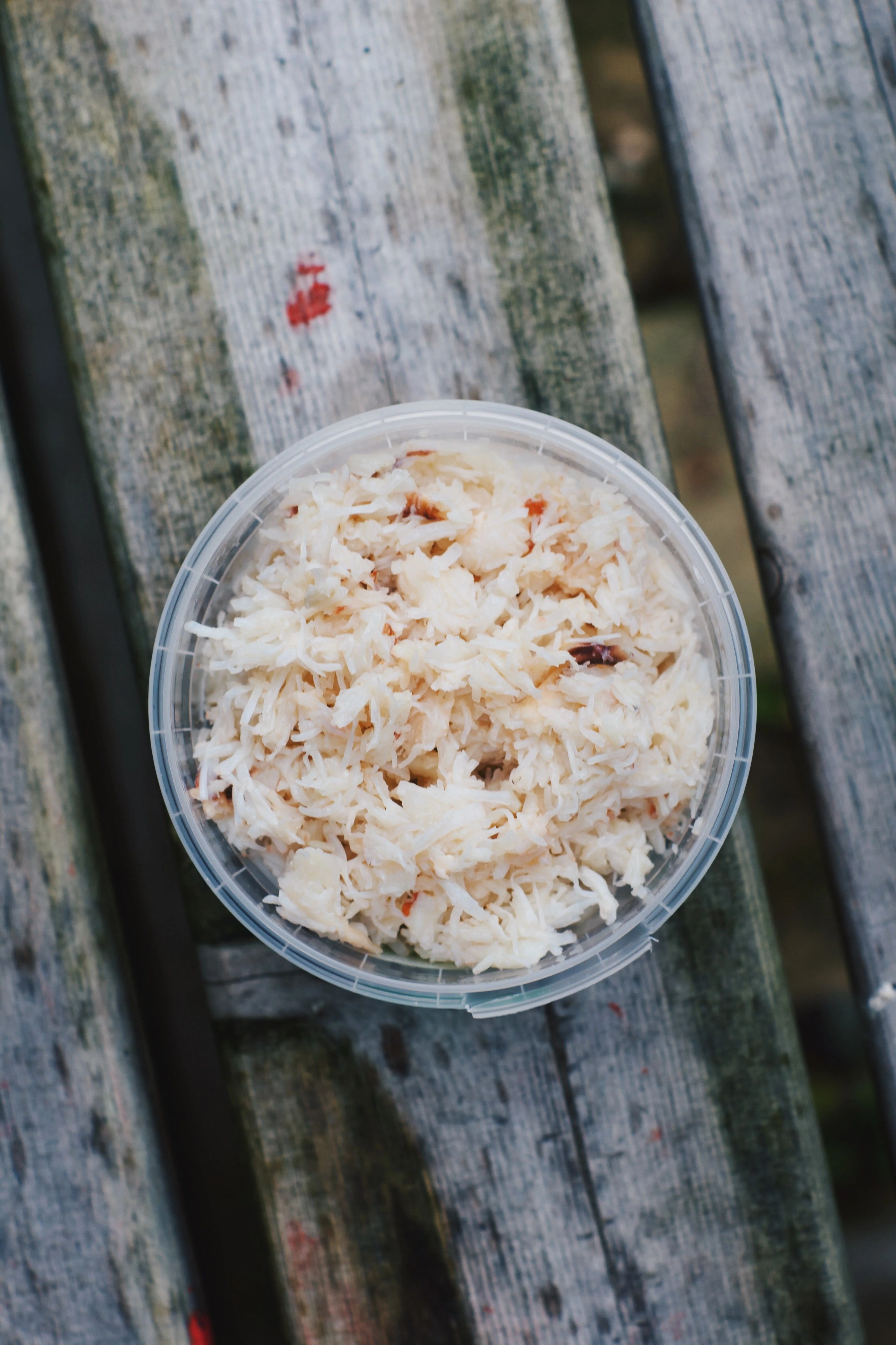 FROZEN FISH AND SHELLFISH